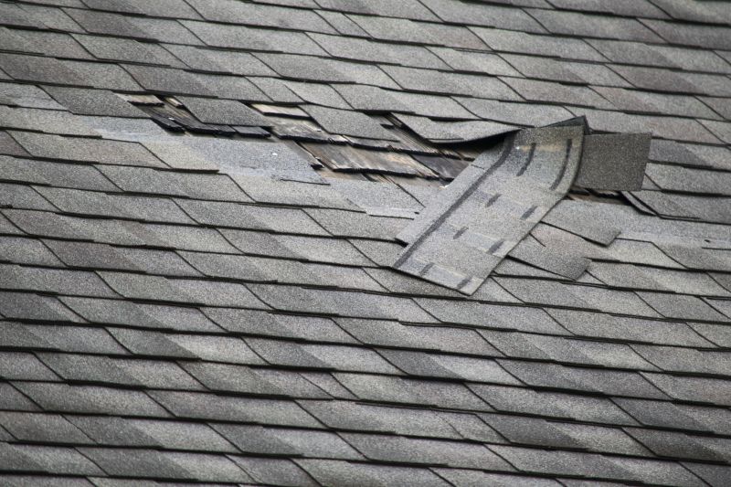 Replacing Missing Shingles