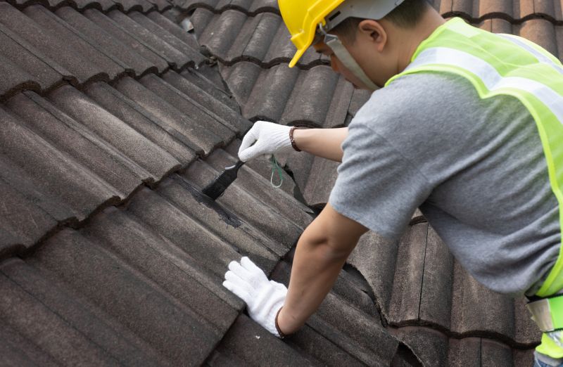Professional Roofing Consultation